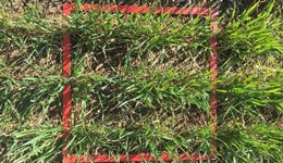 ADAS summer open day in collaboration with AHDB